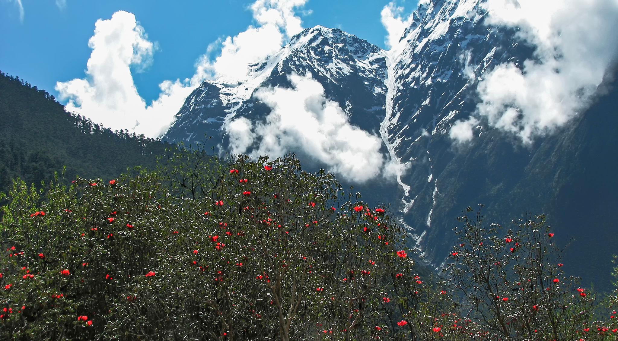 Siliguri – Lachung Tour Package - 3N 4 D